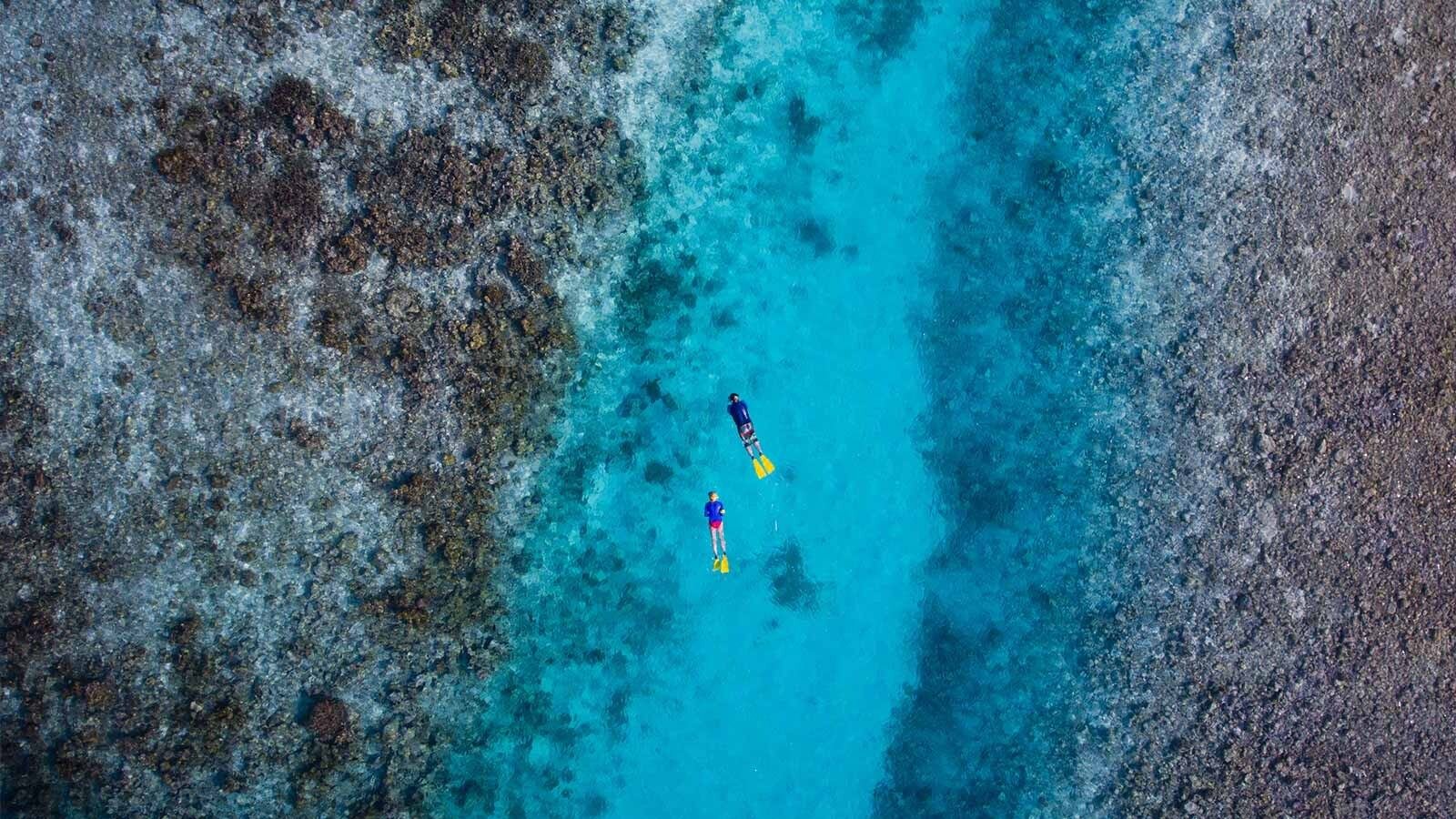 Manta rays, turtles and reef life in the waters of South Ari Atoll