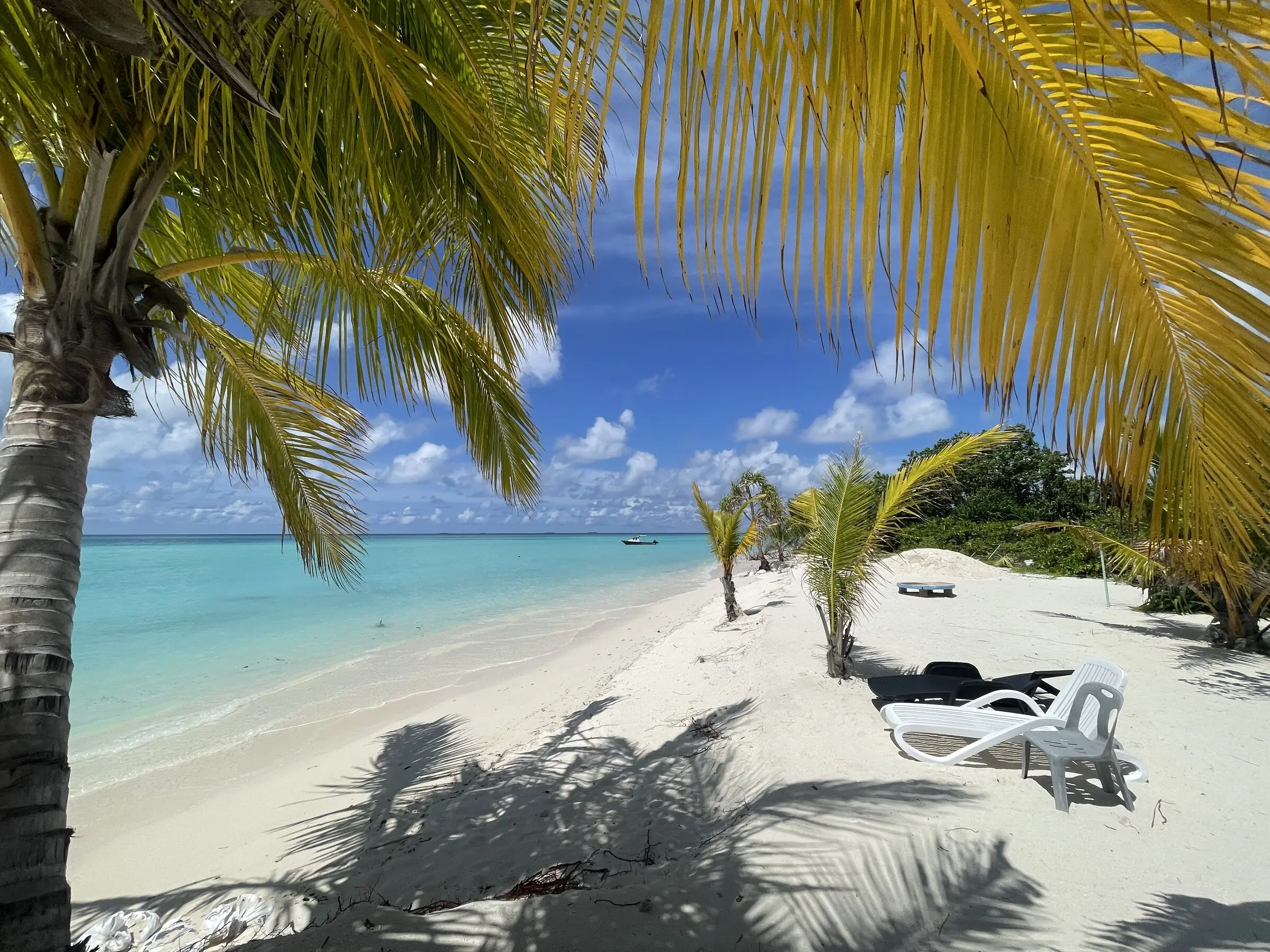 Palm-fringed beach and hammocks over clear turquoise water at Maamigili