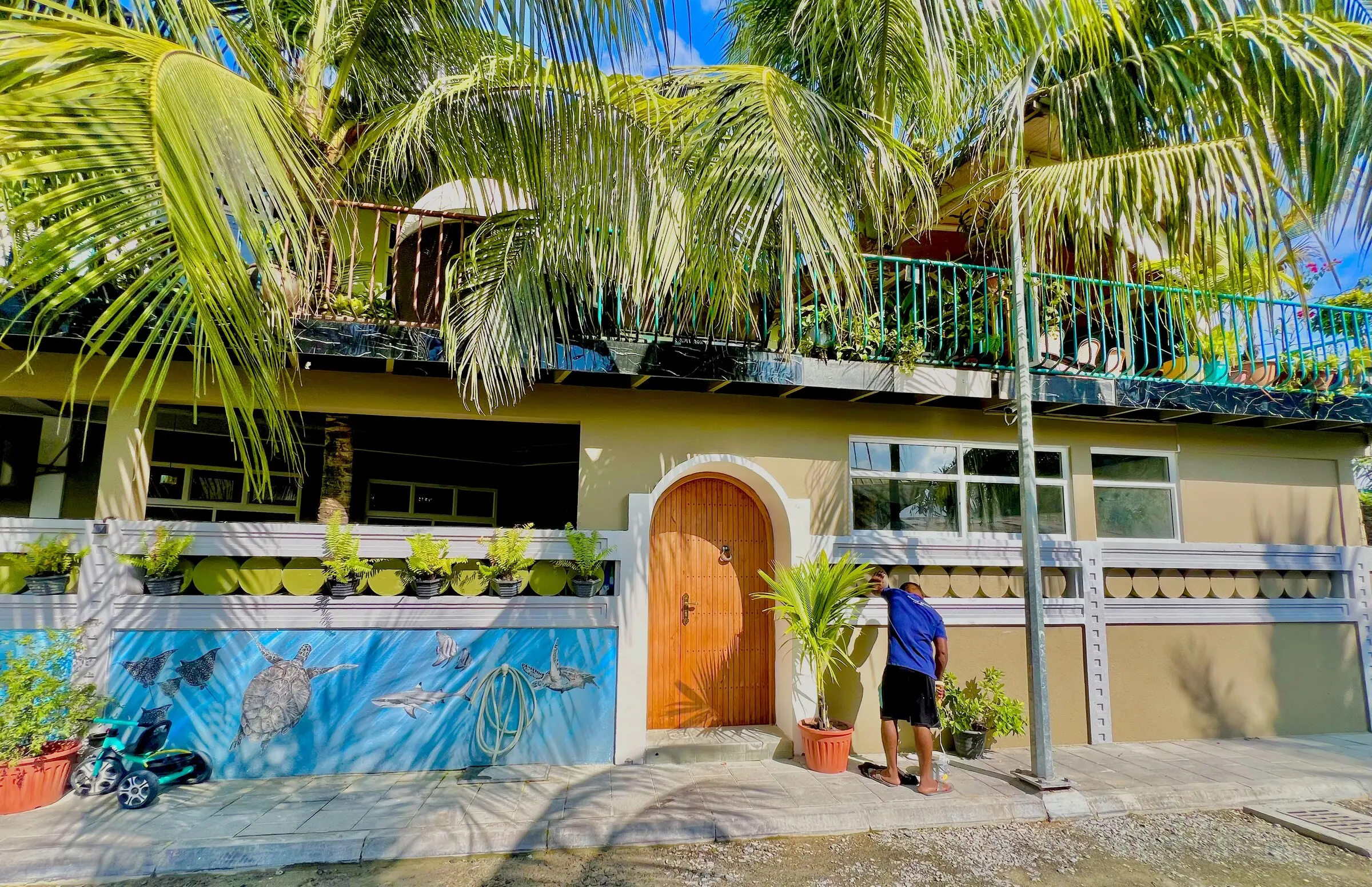 Guesthouse exterior with a painted mural and pool among palms at Koimala Maamigili