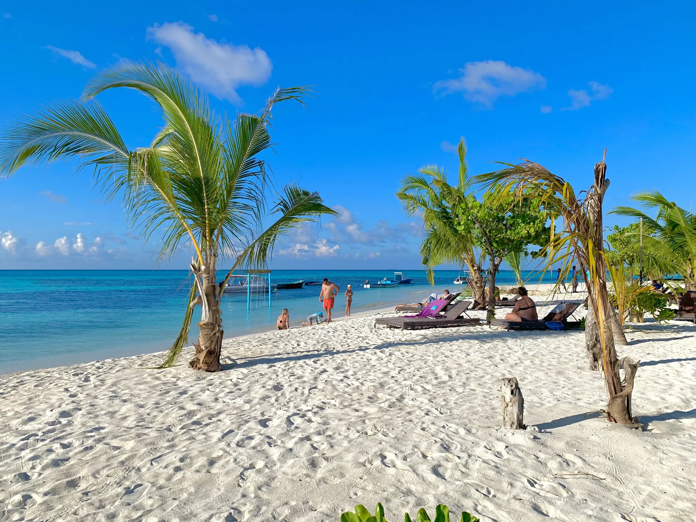 Sun loungers and palms on Maamigili's beach under a blue sky
