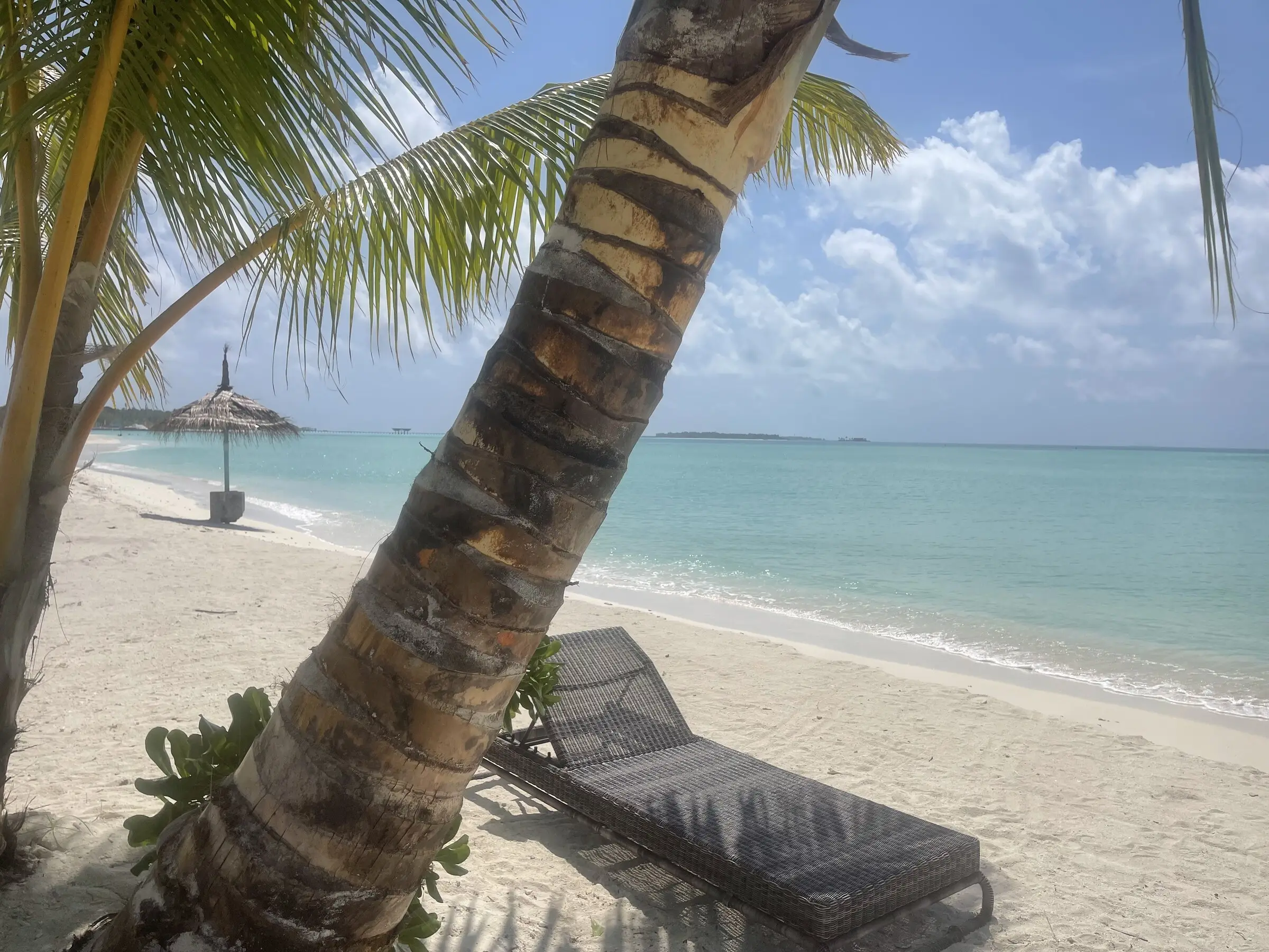 Palm trunk and loungers on Maamigili's beach over turquoise water