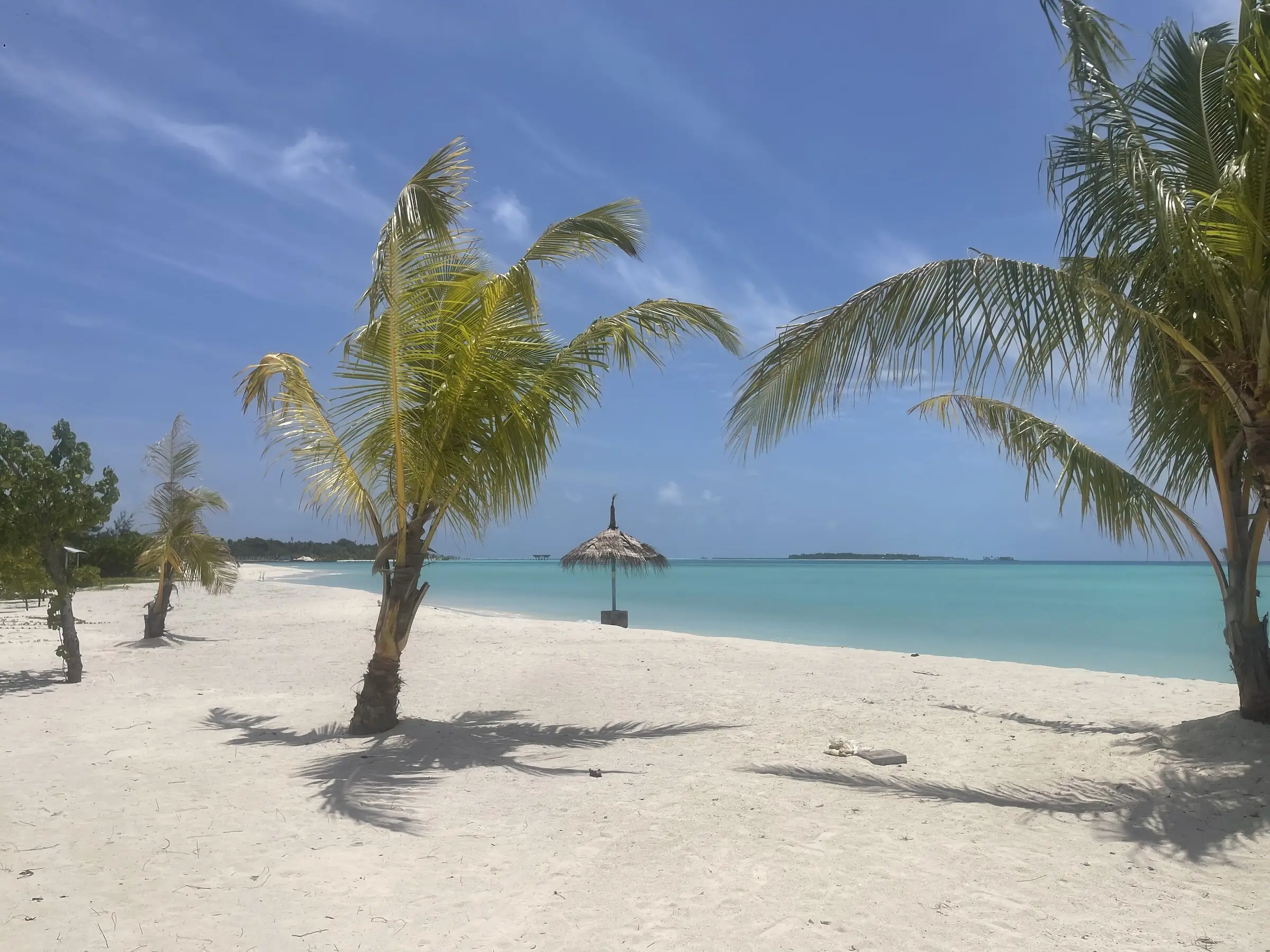 Palm-lined white-sand beach at Maamigili